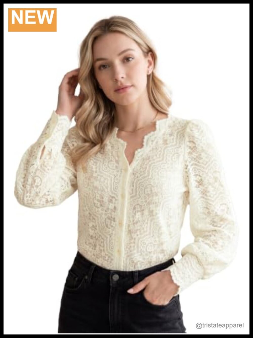 Lace Blouse V Neck Hollow Sheer Mesh Button Up Long Sleeve